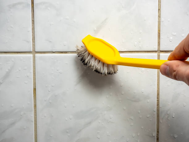 Best Mold Remediation Services  in New Wilmington, PA