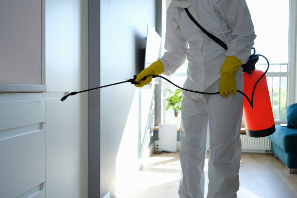 Best Office Mold Removal Services  in New Wilmington, PA