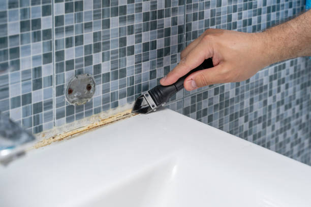 Best Black Mold Removal  in New Wilmington, PA